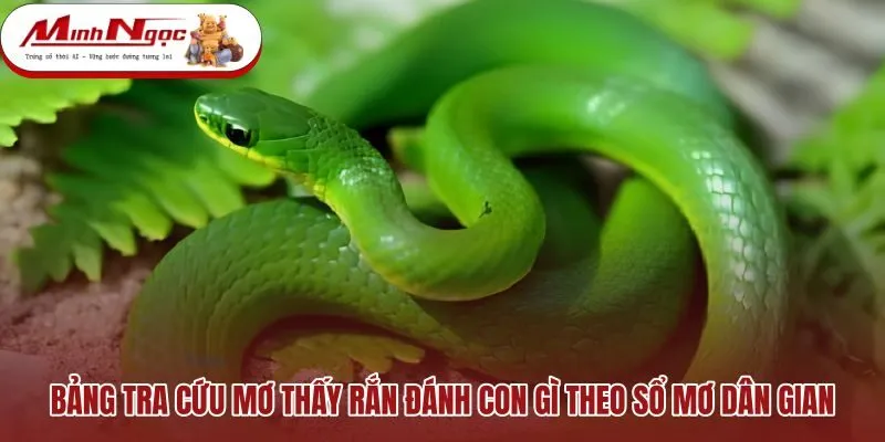 bang-tra-cuu-mo-thay-ran-danh-con-gi-theo-so-mo-dan-gian Bảng tra cứu số may mắn theo từng giấc chiêm bao