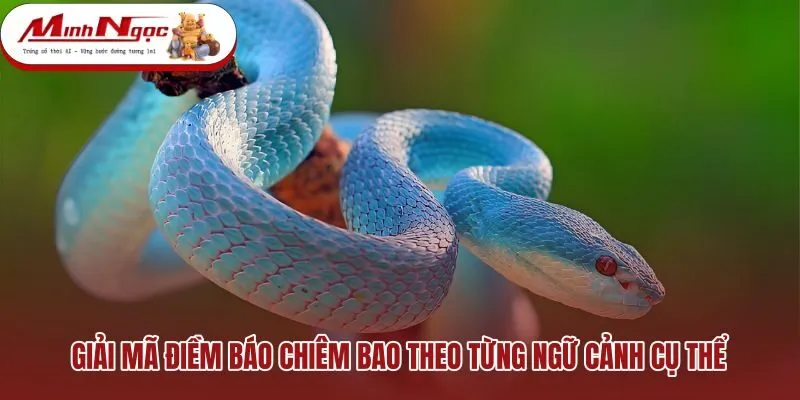 giai-ma-diem-bao-chiem-bao-theo-tung-ngu-canh-cu-the Ý nghĩa phong thủy chi tiết theo màu sắc và hành vi