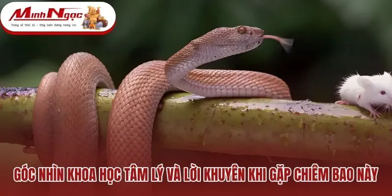 goc-nhin-khoa-hoc-tam-ly-va-loi-khuyen-khi-gap-chiem-bao-nay Giải mã tâm lý giấc mơ và phương pháp thư giãn
