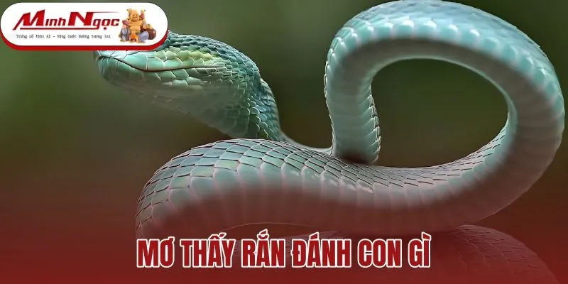 Mơ Thấy Rắn Đánh Con Gì - Sổ Mơ Dân Gian Và Điềm Báo