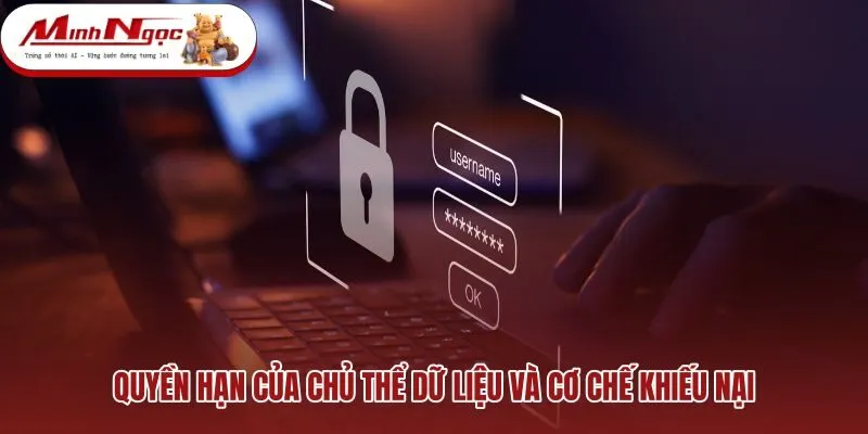 Chính sách bảo mật và quyền kiểm soát hồ sơ người dùng